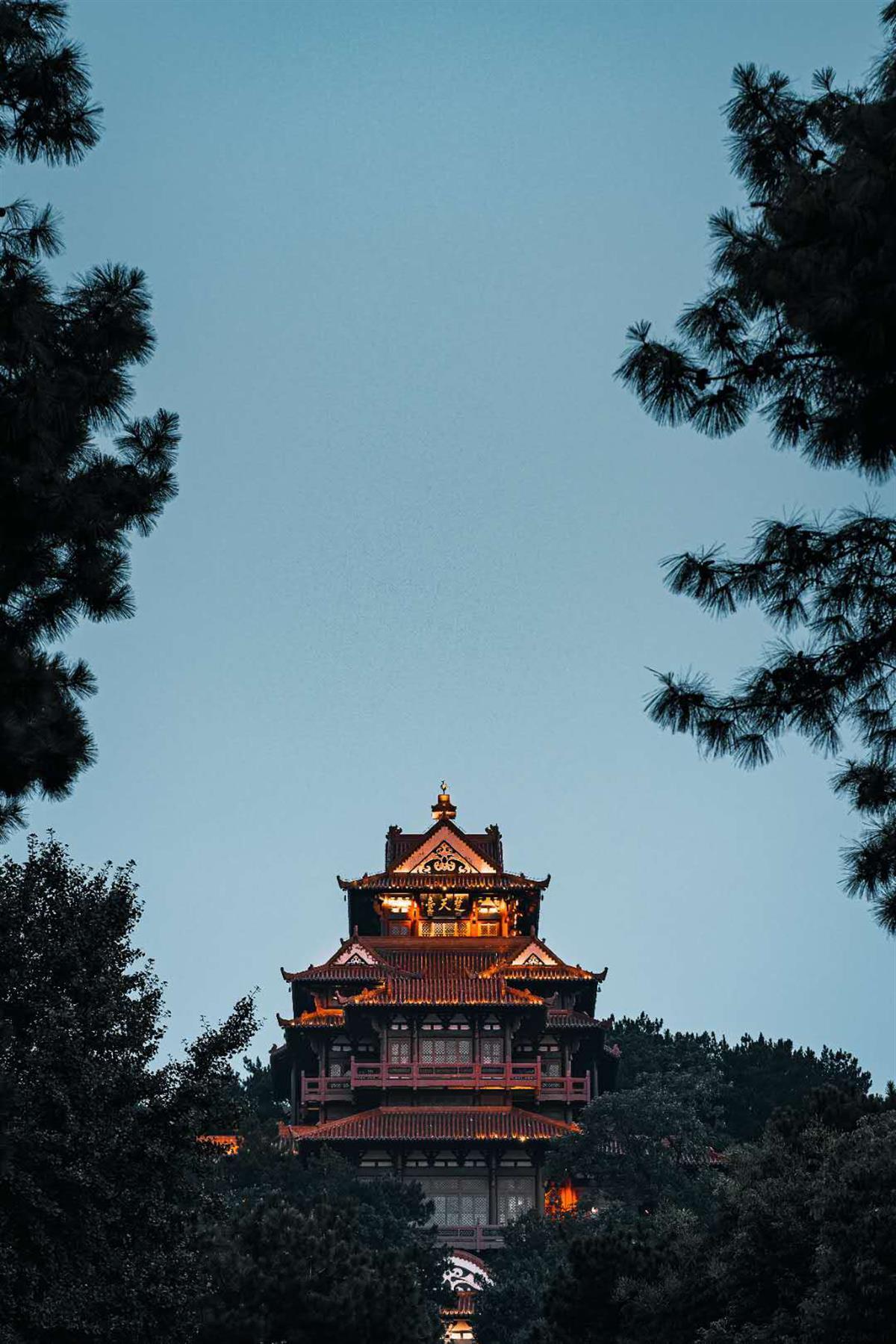 bv伟德国际